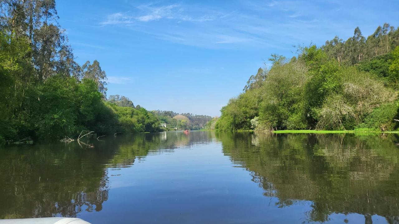 Riverhouse - Near River - Near Ocean - Near ปอร์โต ภายนอก รูปภาพ